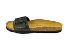 DR BRINKMANN 700677-01