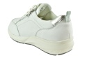 WALDLAUFER 831001 - 299 663 M-Tonia
