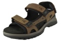 WALDLAUFER 746004 104 026 H-Taro